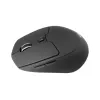 Conceptronic LORCAN02B ergonominė pelė biurui, dešinei rankai, Bluetooth, optinė, 1600 DPI