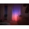 Philips Hue White and colour ambience išmanusis grindinis šviestuvas 8718696176252