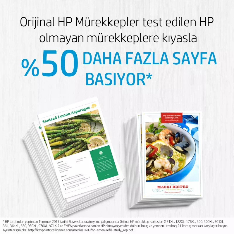 HP 300 spalvotas rašalas Vivera 4 ml