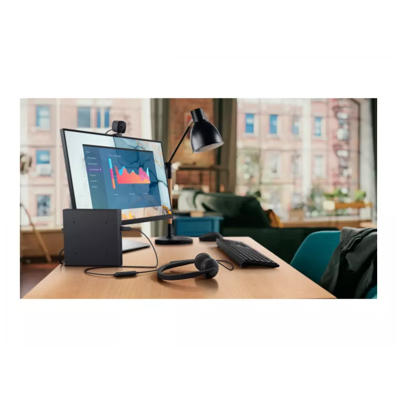 Ausinės Dell WH3024 Pro laidinės (520-BBDH)
