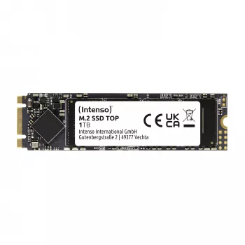 Intenso Top 1 TB M.2 Serial ATA III 3D NAND kietasis diskas SSD