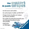 Dėlionė Ravensburger 17444 3000 dalių amžius 14-99