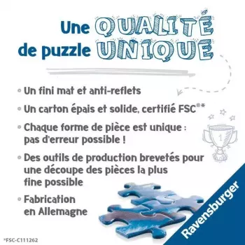 Dėlionė Ravensburger 17444 3000 dalių amžius 14-99