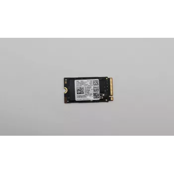 256GB M.2 2242 PCIe 4.0 NVMe SSD (Lenovo)