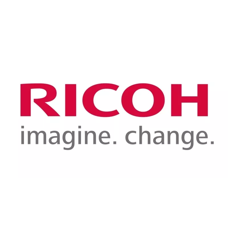 Ricoh D0CB0126 (D0CB-0126) PCDU:C:ATSARGINĖS DALYS