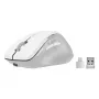 Bevielė pelė Speedlink LIBERA, įkraunama, Bluetooth, tyli, balta