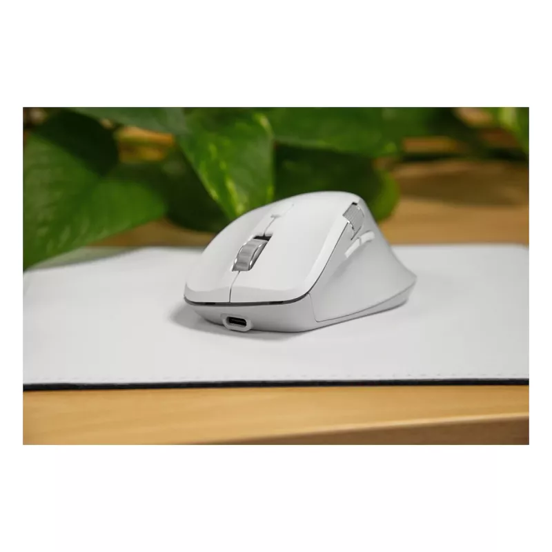 Bevielė pelė Speedlink LIBERA, įkraunama, Bluetooth, tyli, balta
