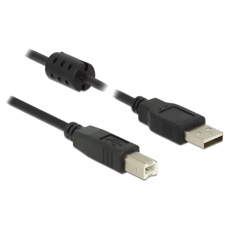 USB laidas DeLOCK 1 m USB 2.0-A / USB 2.0-B
