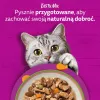 Šlapias kačių ėdalas Whiskas Tasty Mix šefo pasirinkimas padaže 40×85 g paketėlių