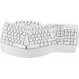 Belaidė klaviatūra Perixx 11615 RF Wireless + Bluetooth QWERTY prancūzų – vokiečių – ispanų – JK anglų – JAV anglų balta (PERIBOARD-612W DE)