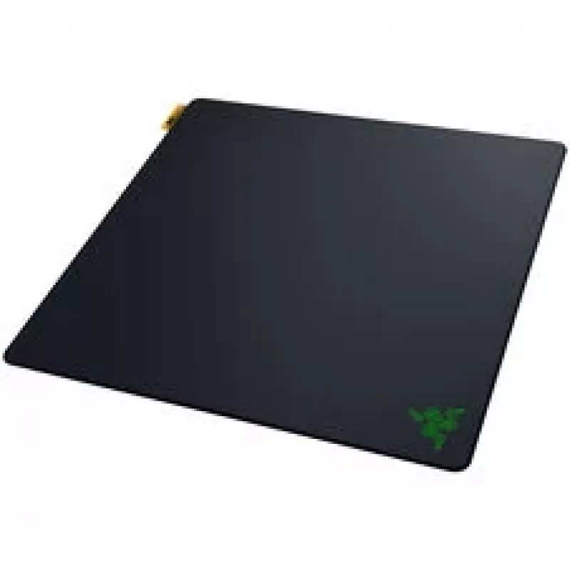 Razer Gigantus V2 Pro L - Speed pelės kilimėlis (RZ02-05490900-R3M1)