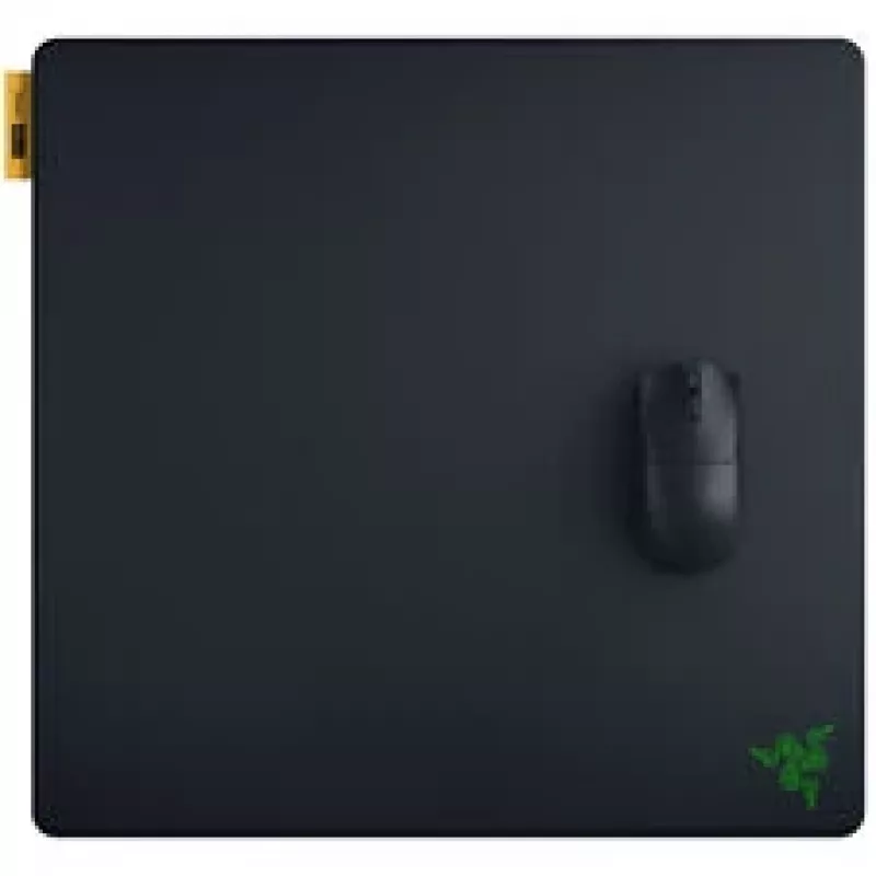 Razer Gigantus V2 Pro L - Speed pelės kilimėlis (RZ02-05490900-R3M1)