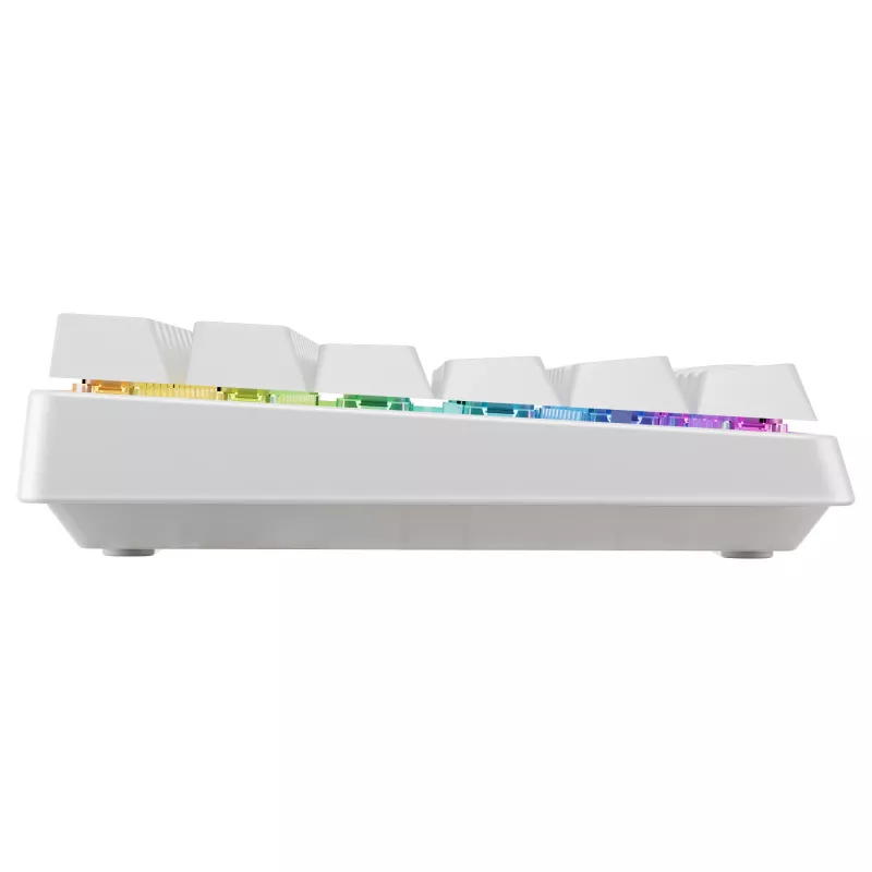 Mechaninio stiliaus kompaktiška belaidė klaviatūra Cherry XTRFY K33 75% QWERTZ vokiečių balta USB + RF + Bluetooth RGB