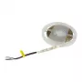 Synergy 21 LED Flex juosta 5050 - 60 RGB DC24V + RGB-W vienas lustas WW s-formos IP20