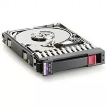 300GB 10K SAS 2,5 colio dvipusis kietasis diskas HPE