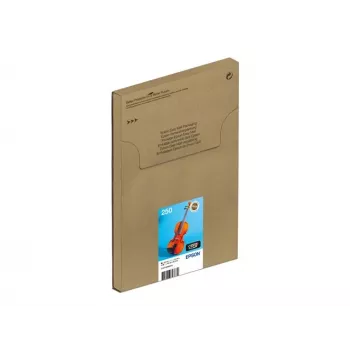 Originalūs Epson 250 rašalo kasečių rinkinys 6 vnt. – juoda, geltona, žydra, raudona, šviesiai žydra, šviesiai raudona (C13T16N84510)