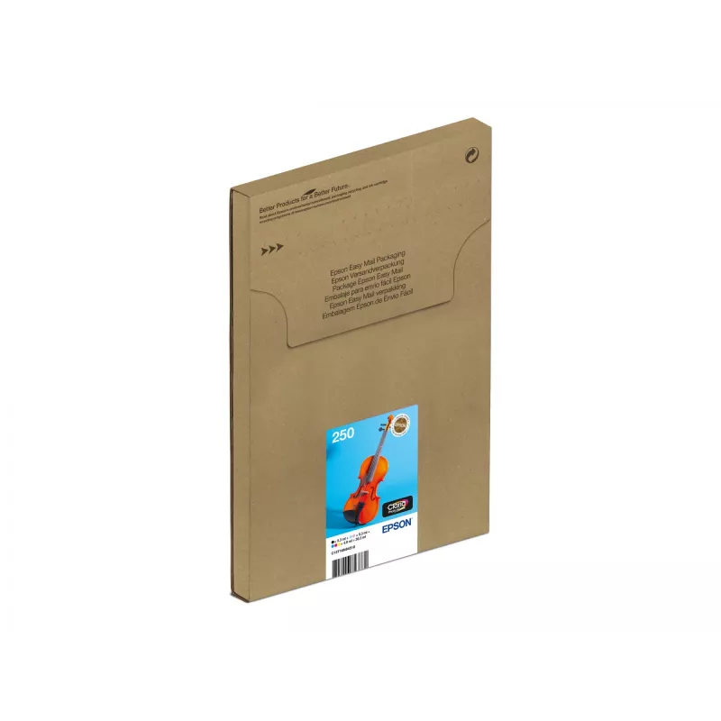 Originalūs Epson 250 rašalo kasečių rinkinys 6 vnt. – juoda, geltona, žydra, raudona, šviesiai žydra, šviesiai raudona (C13T16N84510)