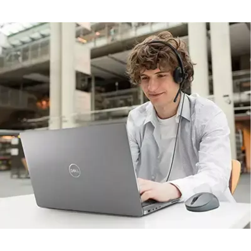 Ausinės DELL Stereo Headset – WH1022
