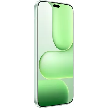 Honor 600 Lite 16,8 cm (6,6 colio) Dual SIM Android 16.0 5G USB Type-C 8 GB 256 GB 6520 mAh Žalia