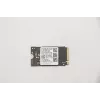 Lenovo 5SS0V42253 Vidinė kietojo kūno atmintis M.2 256 GB PCI Express