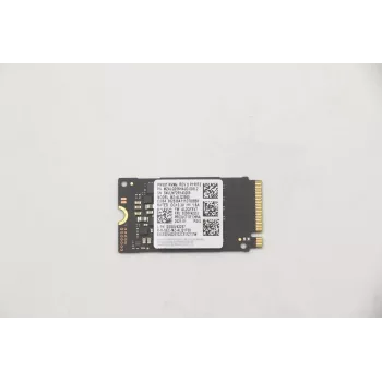 Lenovo 5SS0V42253 Vidinė kietojo kūno atmintis M.2 256 GB PCI Express