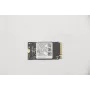 Lenovo 5SS0V42253 Vidinė kietojo kūno atmintis M.2 256 GB PCI Express
