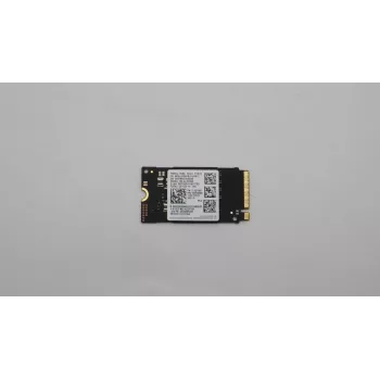SSD diskas Lenovo 256GB M.2 NVMe PCIe 5SS0Z86692