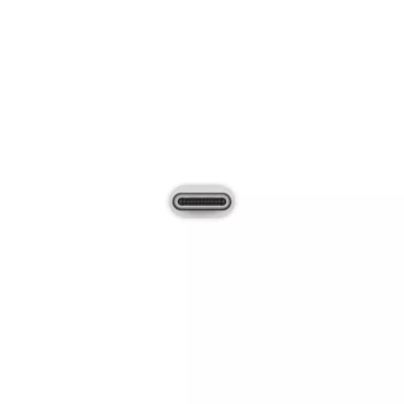 Apple USB-C į USB adapteris MJ1M2ZM/A USB A USB C
