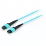 Equip Pro - Patch-Cable - MTP Daugiamodis (W) - MTP Daugiamodis (W) - 15,0 m - Skaidulinė optika - 50/125 µm - OM4 - akvamarinas (25555707)