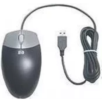 HP DC172B – optinė pelė – 3 mygtukai – laidinė – USB – skirta MultiSeat t200, Compaq Business Desktop dc7700, ProLiant WS460c G6