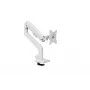 Monitorio laikiklis Arozzi Alzare Neo AZ-ALZARE-NEO-WT baltas 9 kg VESA 75x75 100x100