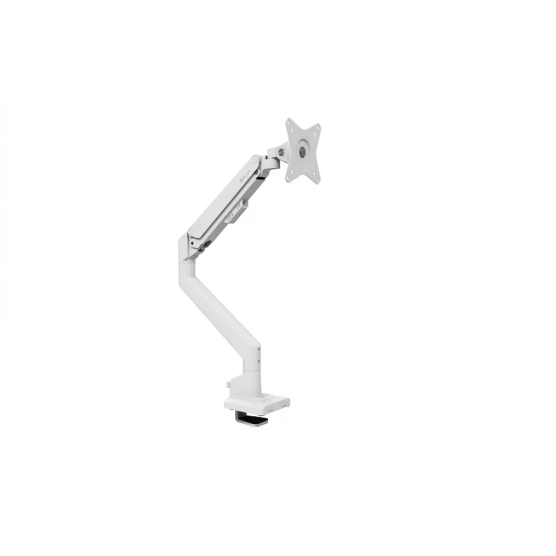 Monitorio laikiklis Arozzi Alzare Neo AZ-ALZARE-NEO-WT baltas 9 kg VESA 75x75 100x100