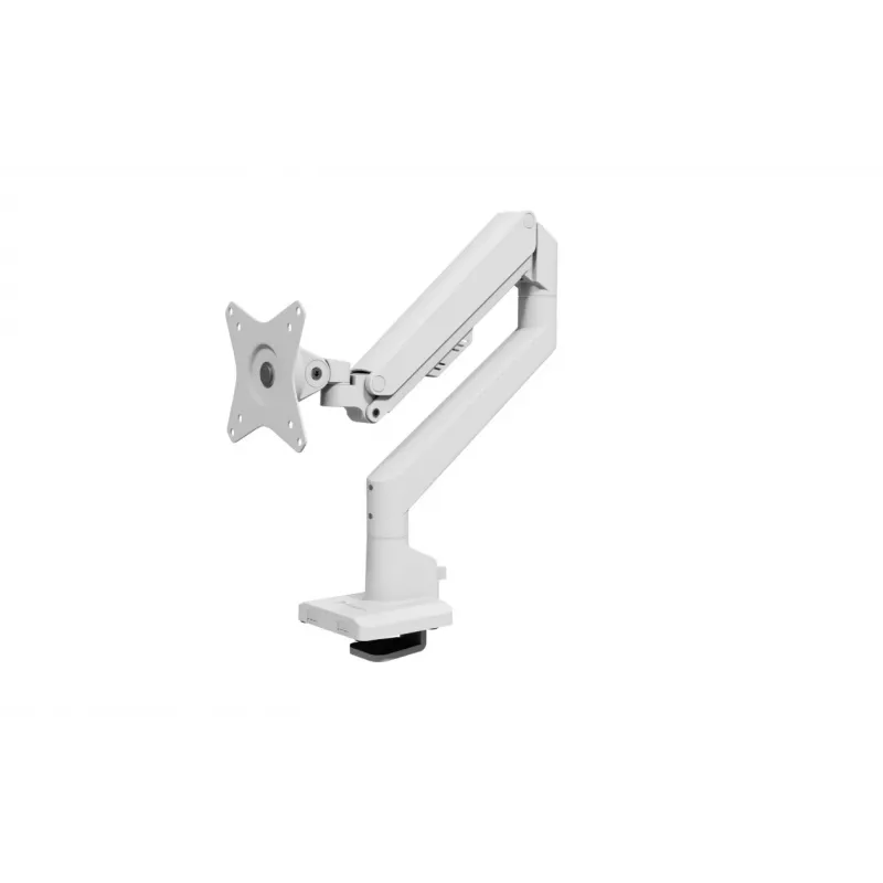 Monitorio laikiklis Arozzi Alzare Neo AZ-ALZARE-NEO-WT baltas 9 kg VESA 75x75 100x100