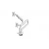 Monitorų laikiklis ant stalo Arozzi AZ-ALZARE-NEO-DUO-WT dviem ekranams, iki 81,3 cm (32 colių), 18 kg bendras, VESA 75x75–100x100, baltas