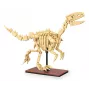 Konstruktorius Jamara CaADA Dinozaurų fosilija Velociraptor – 256 dalių, nuo 8 metų, smėlio/ruda