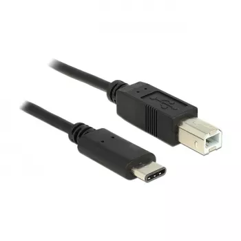 USB laidas DeLOCK 0,5 m USB 2.0-C / USB 2.0-B juodas