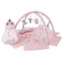 Mokomasis kilimėlis Dino Pink TinyMini rožinis