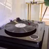 Pavarų diržu varomas vinilinis grotuvas Energy Sistem BlackSpin juodas permatomas 33 45 78 aps/min