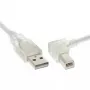 USB 2.0 laidas InLine Type A (stačiu kampu) į Type B vyriškas, 0,3 m, permatomas