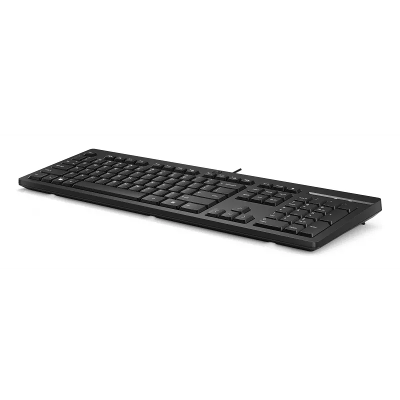 HP 125 laidinė klaviatūra, pilno dydžio, USB, membraninė, juoda