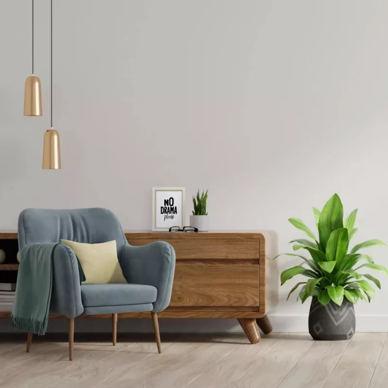 Vienvietis nuotraukų rėmelis HAMA Aura – medinis, baltas, tinka 150 × 200 mm paveikslėliui (FSC)