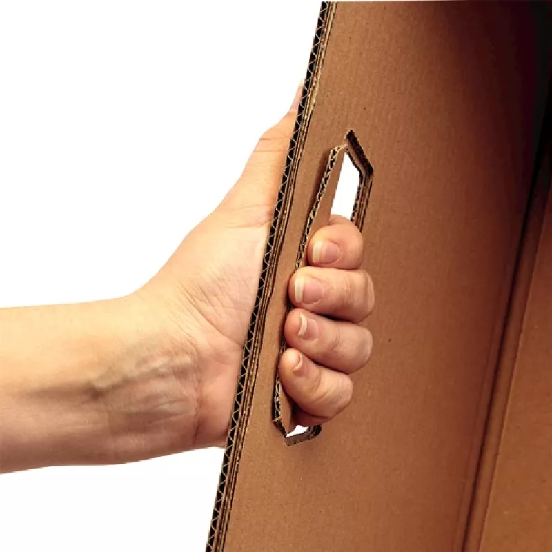 Fellowes 6203801 dėžutė saugojimui stačiakampė kartoninė natūrali
