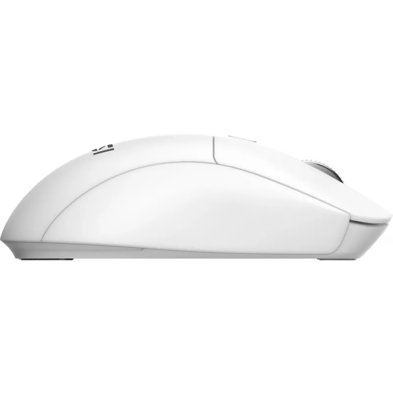 MSI FORGE K210 W COMBO WHITE US klaviatūra ir pelė belaidžiai namams ir biurui USB QWERTY US