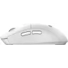 MSI FORGE K210 W COMBO WHITE US klaviatūra ir pelė belaidžiai namams ir biurui USB QWERTY US