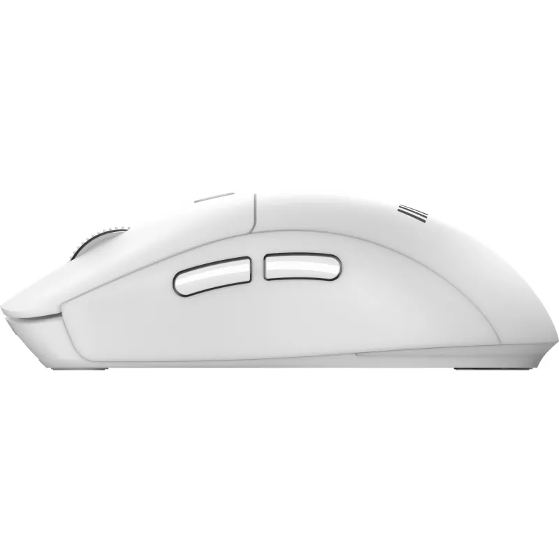 MSI FORGE K210 W COMBO WHITE US klaviatūra ir pelė belaidžiai namams ir biurui USB QWERTY US