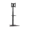 Grindinis stovas monitoriui Chief PF1UB 190,5 cm (75 col.) juodas