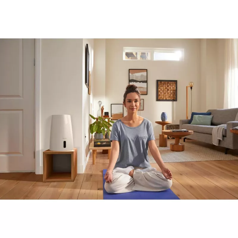 Philips HU3916/10 drėkintuvas 3 L ultragarsinis, 25 W, baltas/rožinis auksas, 250×250×375 mm