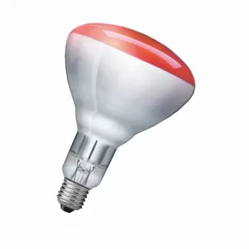 Infraudota lemputė Philips 923212043801 250 W 5000 h 230-250 V