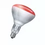 Infraudota lemputė Philips 923212043801 250 W 5000 h 230-250 V