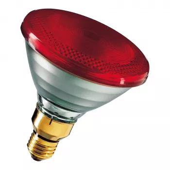 Infraraudonųjų spindulių lempa Philips PAR38 IR 175W E27 230V Raudona